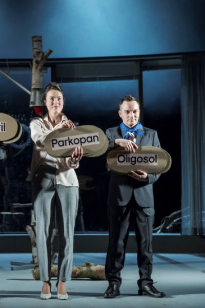 „In einem dichten Birkenwald, Nebel“