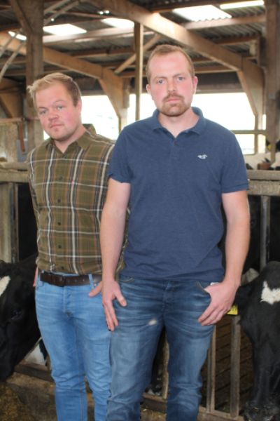 Auswirkungen der Blauzungenkrankheit