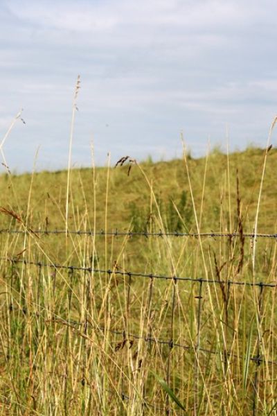 Programm für die Zugvogeltage vorgestellt