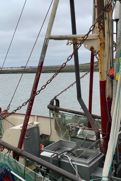 Fangquoten für die Nordseefischerei festgelegt