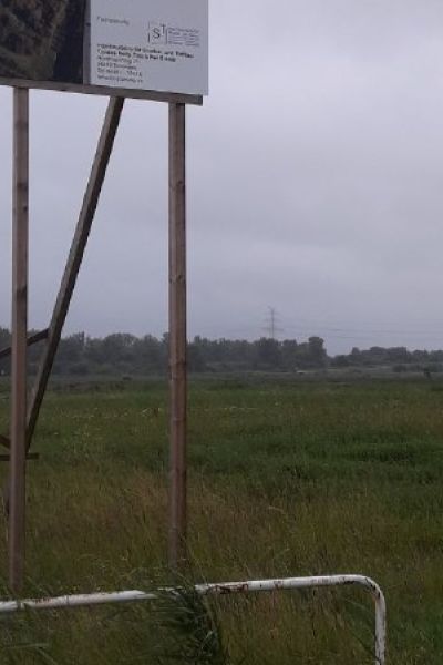 Baumgedenken an der Geniusbank