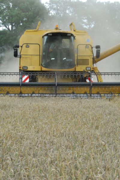 Land stellt Nährstoffbericht 2019/ 2020 vor