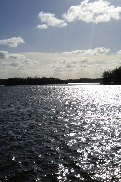 Wilhelmshaven: Tourismustag im Zeichen der Elektromobilität