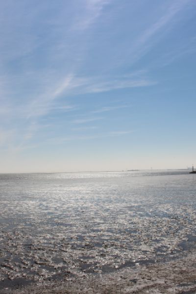 Ende vom Wadden Sea Forum