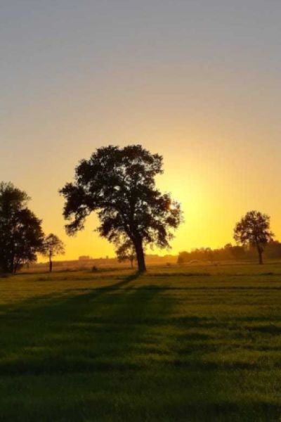 Lena Büter beantwortet Kinderfragen