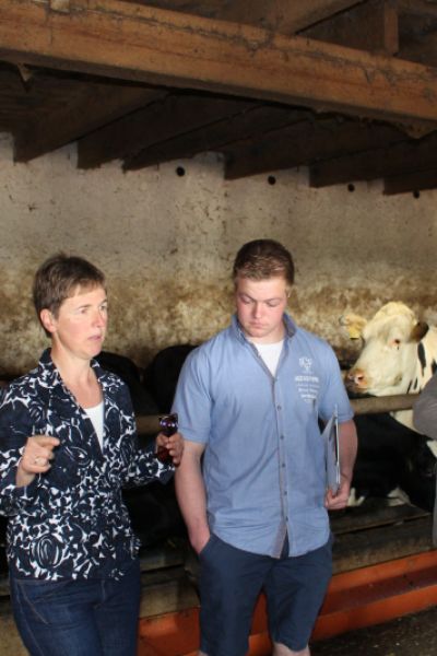 Friesland startet wieder Spendensammlung für Kriegsgräber