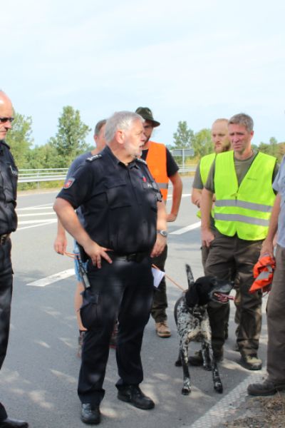 Reh-Vergrämung an B 210