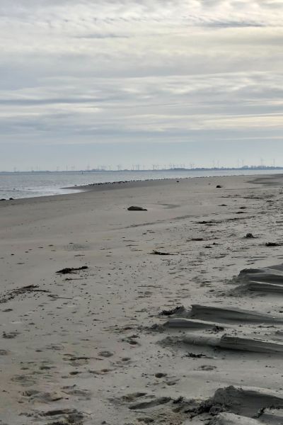 Forschungsprojekt zu ehemaligen Lebensräumen auf dem Meeresboden