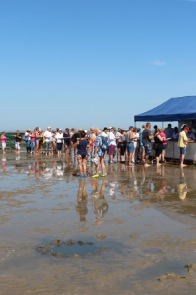 Schollen in Schillig