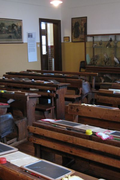 Der Frieslandhopper in Bohlenbergerfeld