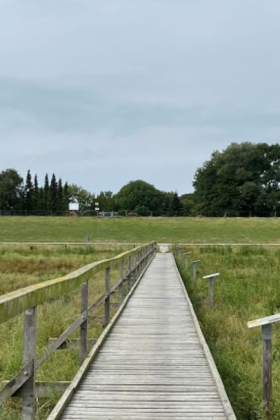 Salzwiesenführungen starten wieder