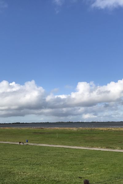 Beach Food-Festival in Hooksiel geplant