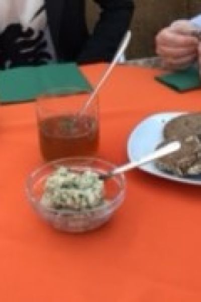 Essbare Kräuter in der Region