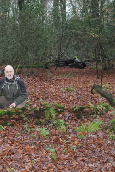 Unterwegs im Neuenburger Urwald