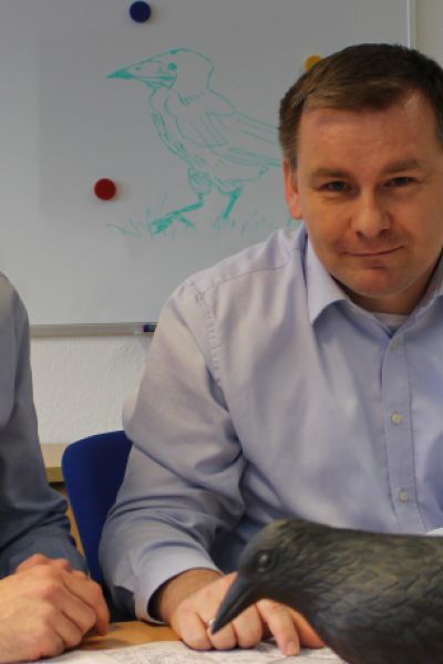 Neue Maßnahmen gegen Krähen in Sande