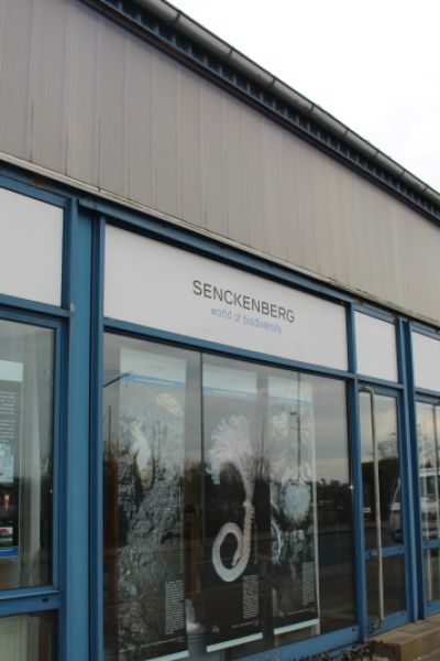 Lange Nacht der Wissenschaft: Das Senckenberg-Institut