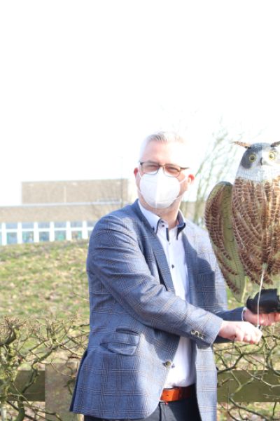 Krähen sollen an den Sander See umsiedeln