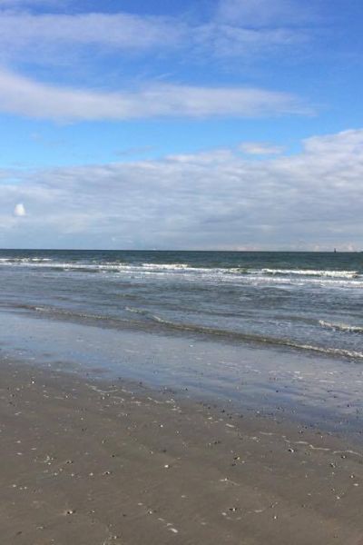 Wat nu? Forscher untersuchen das Wangerland