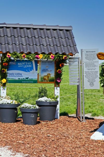 Goldene Olga in der Wesermarsch aufgestellt