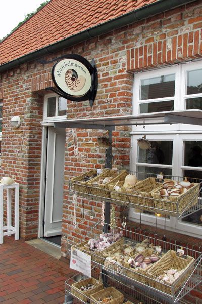 Zu Besuch im Muschelmuseum Hooksiel