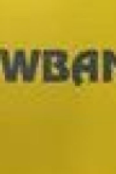 40-jähriges Jubiläum: Die Musik- und Showband Grabstede