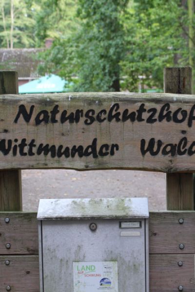 Biosphärenkonzert im Wittmunder Wald