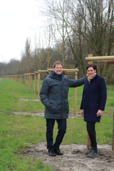 Patenschaften für Bäume in Wilhelmshaven möglich