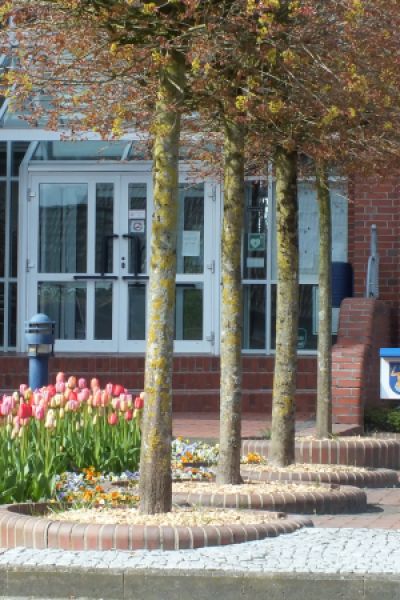 Unterbringung vorrangig für Familien geplant