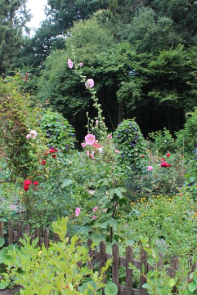 WilhelmsUrbanFarm will Wilhelmshaven grüner machen