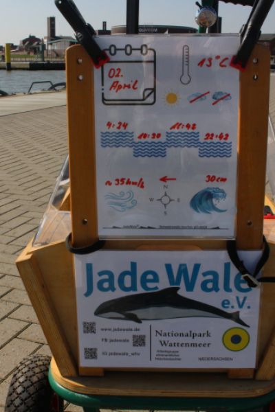 Schweinswaltage vor dem Start