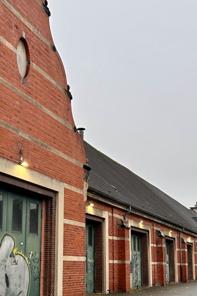 Bewegung im Projekt Seipelhalle