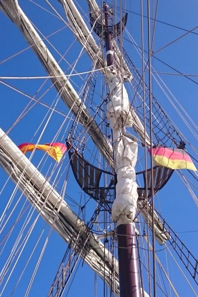 Sailing Cup bei Kaiserwetter