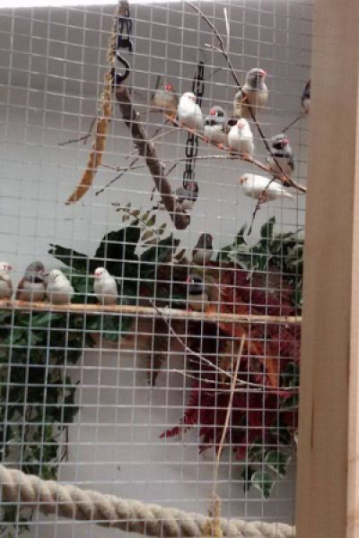 Tierrettung kämpft um Fortbestehen