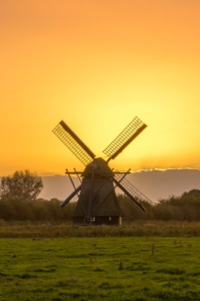 Der Ostfriesentee könnte Unesco Weltkulturerbe werben