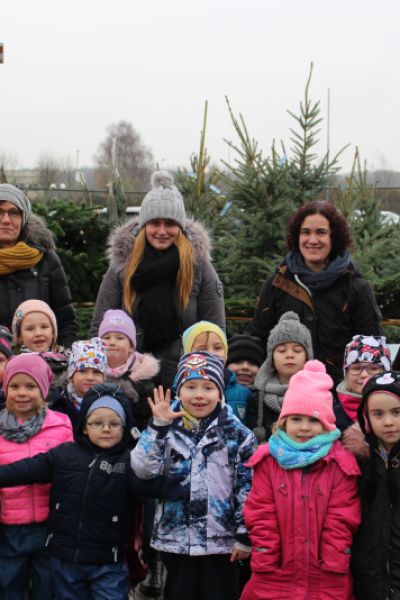 Weihnachtsbäume für Kindergärten