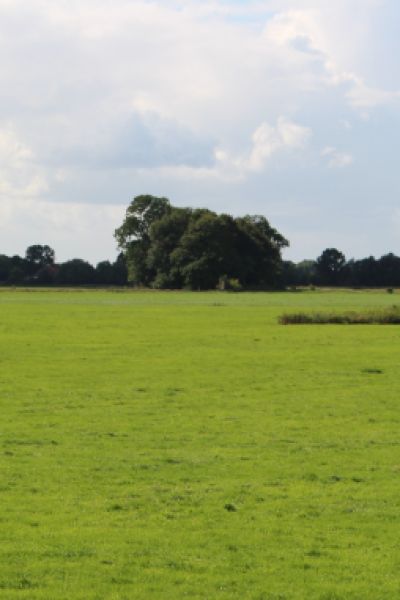 Entwurf des Landesraumordnungsprogramm erfüllt Vorgaben nicht