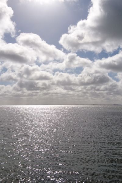 Bündnis „Niedersachsen zum Sicheren Hafen für alle“ stellen Forderungen