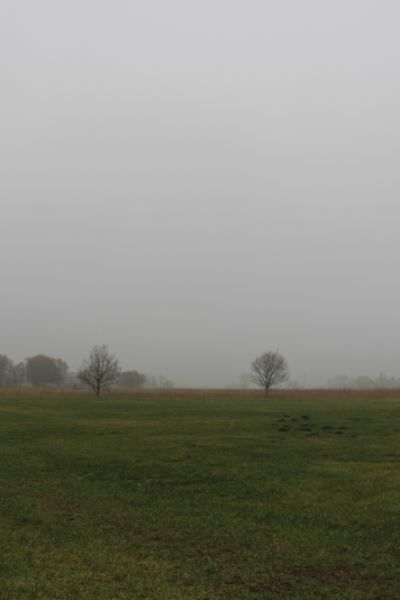 „Zwischen Kuhmist und Internet – Welche Chancen hat das Dorfleben?“ - Teil 2