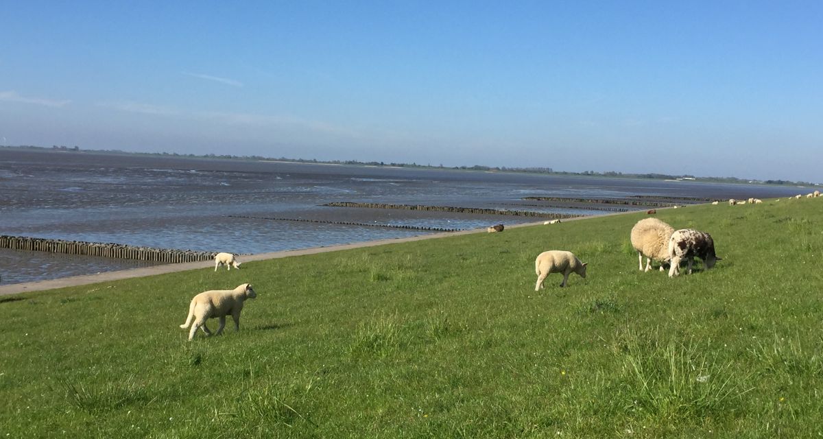 Nordsee zufrieden mit Buchungszahlen