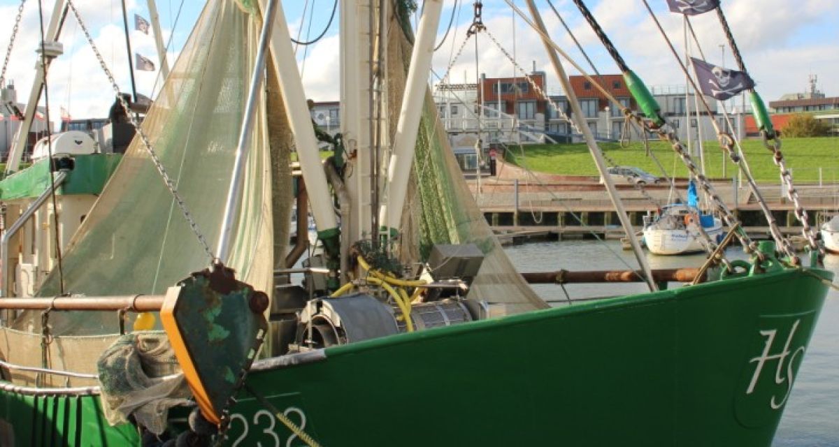 Fischkutter Möwe Bensersiel Steffens Krabbenkutter Krabben