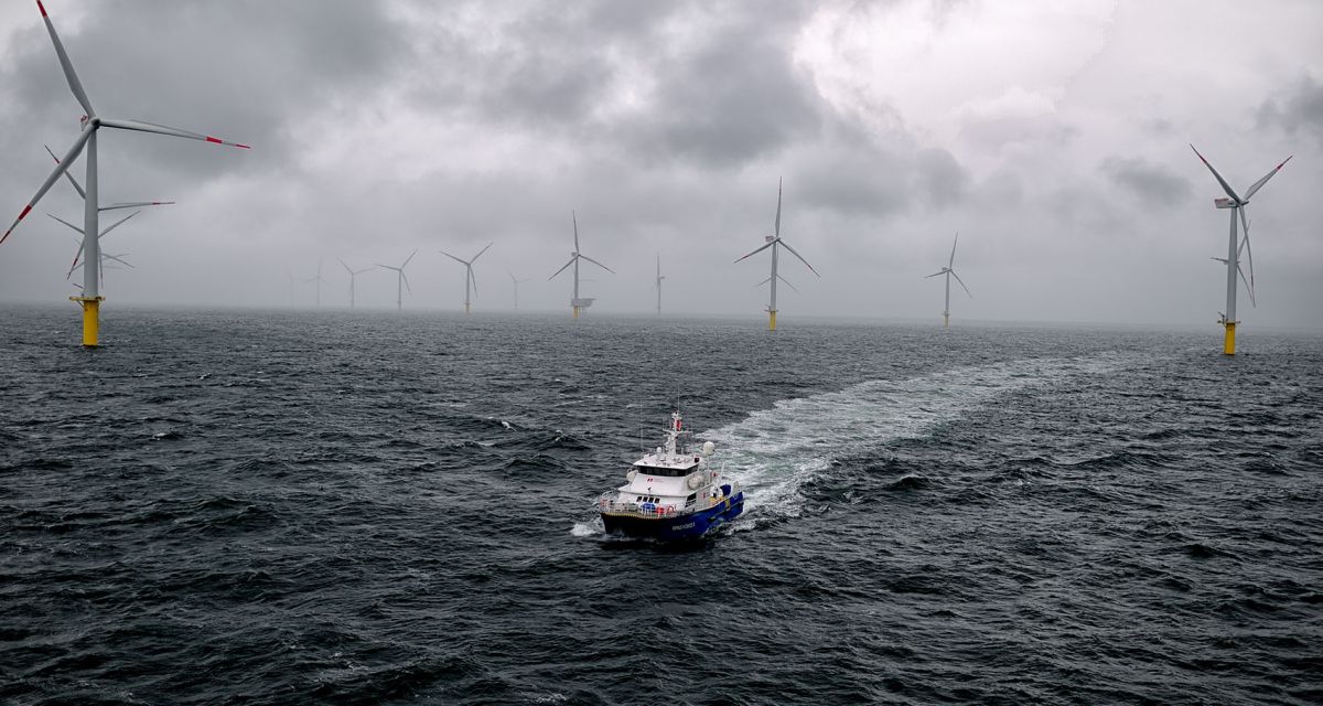 Kleines Boot fährt durch Windpark im Meer.