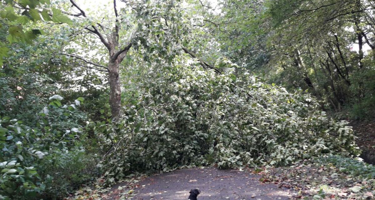 Sturm „Xavier“ sorgt für Schäden