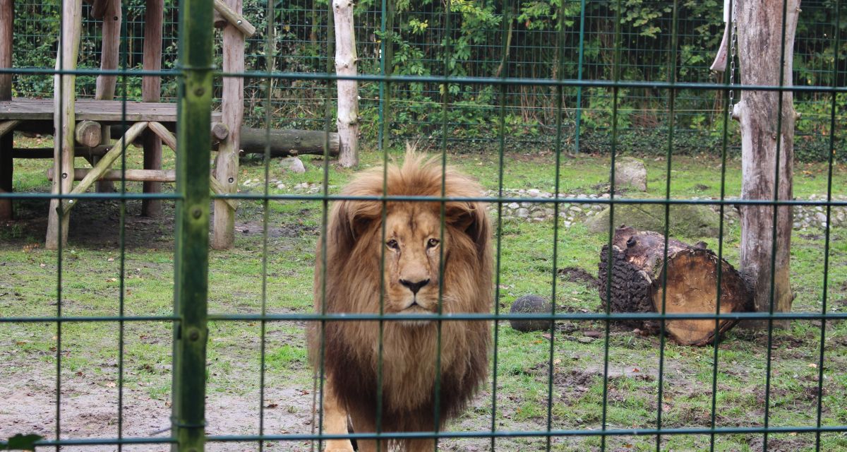 Neuerungen im Jaderpark