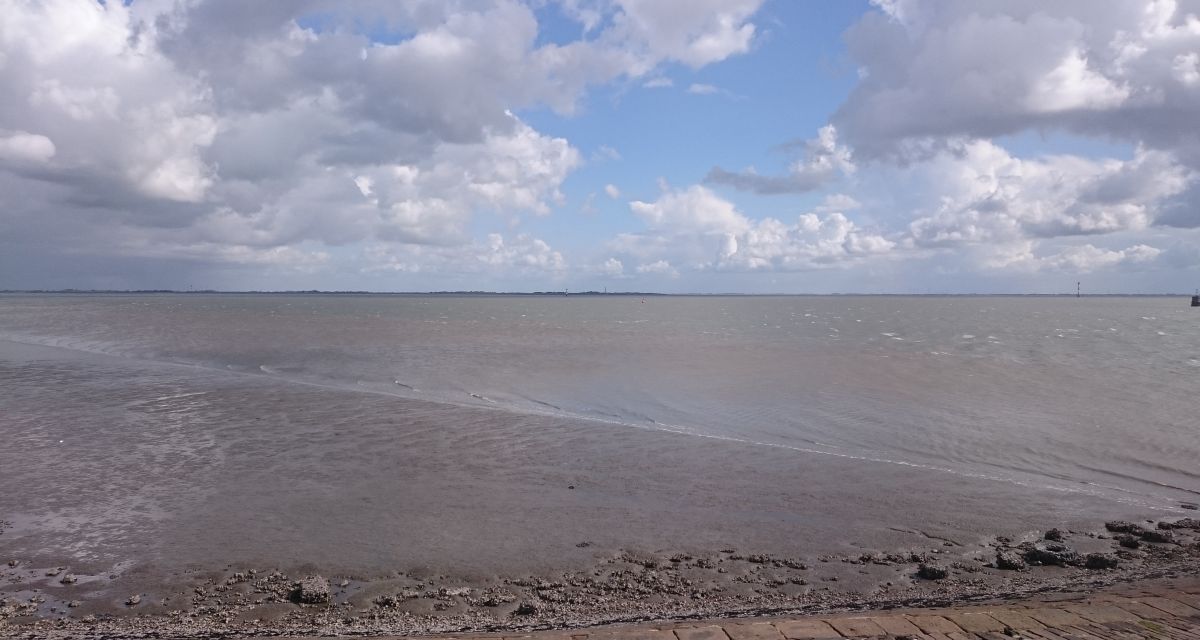 Bundesumweltamt fordert bessere Gewässerkontrollen