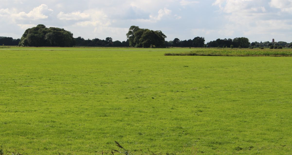 Offener Brief für Weideprämie