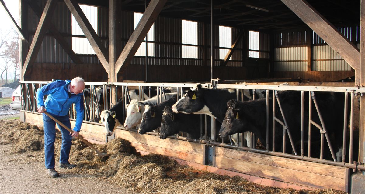 Agrarministerin will Tierschutzplan ändern