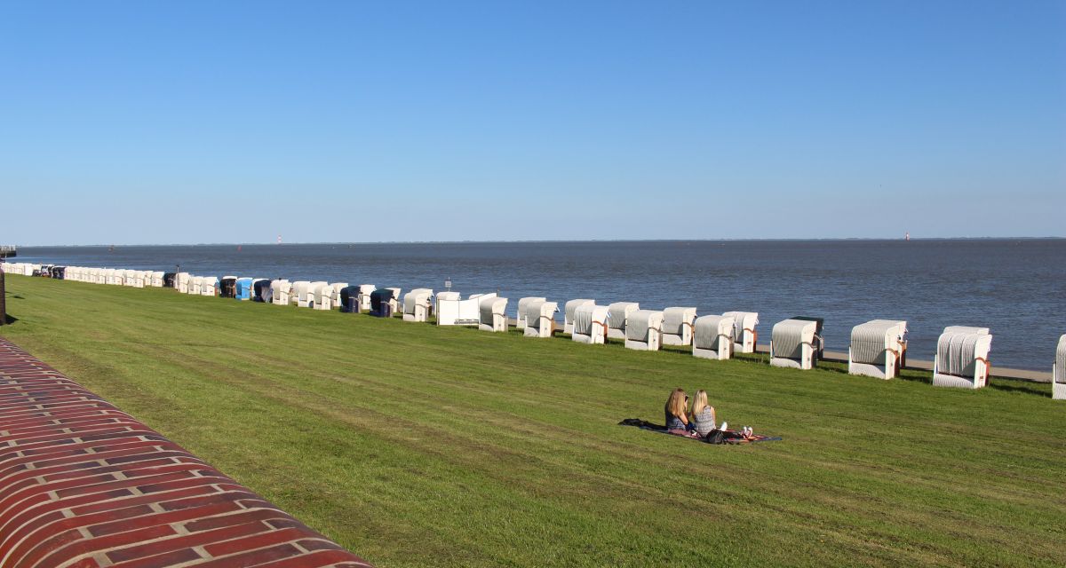 Eine Reihe von Strandkörben auf einer Wiese vor dem Meer. Sonnenklarer Himmel.