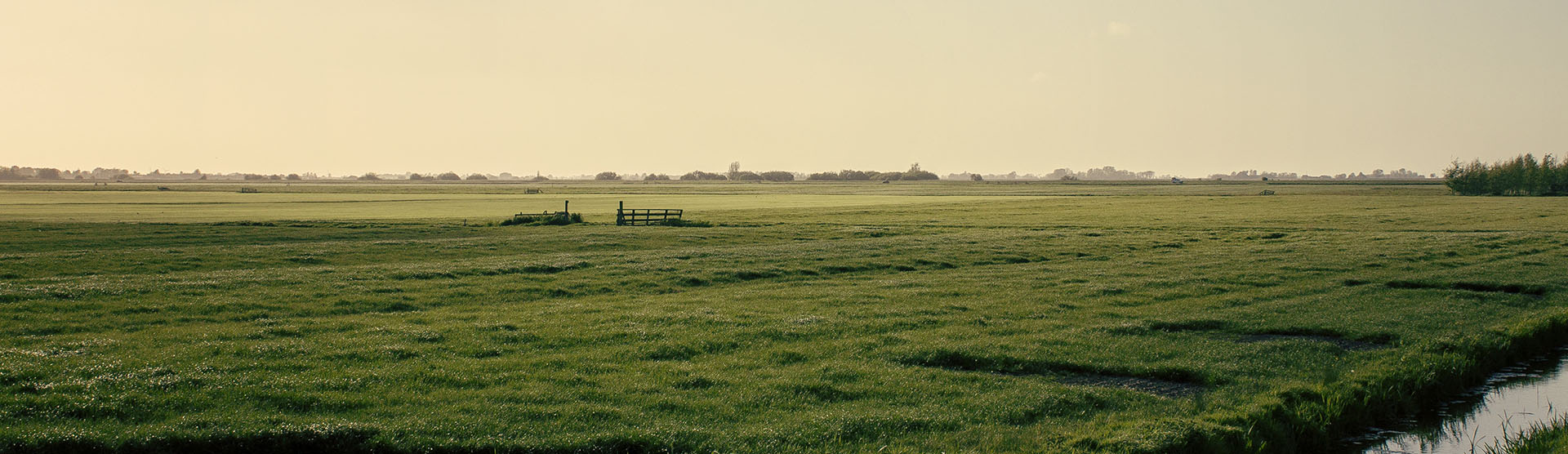 Programm Bild