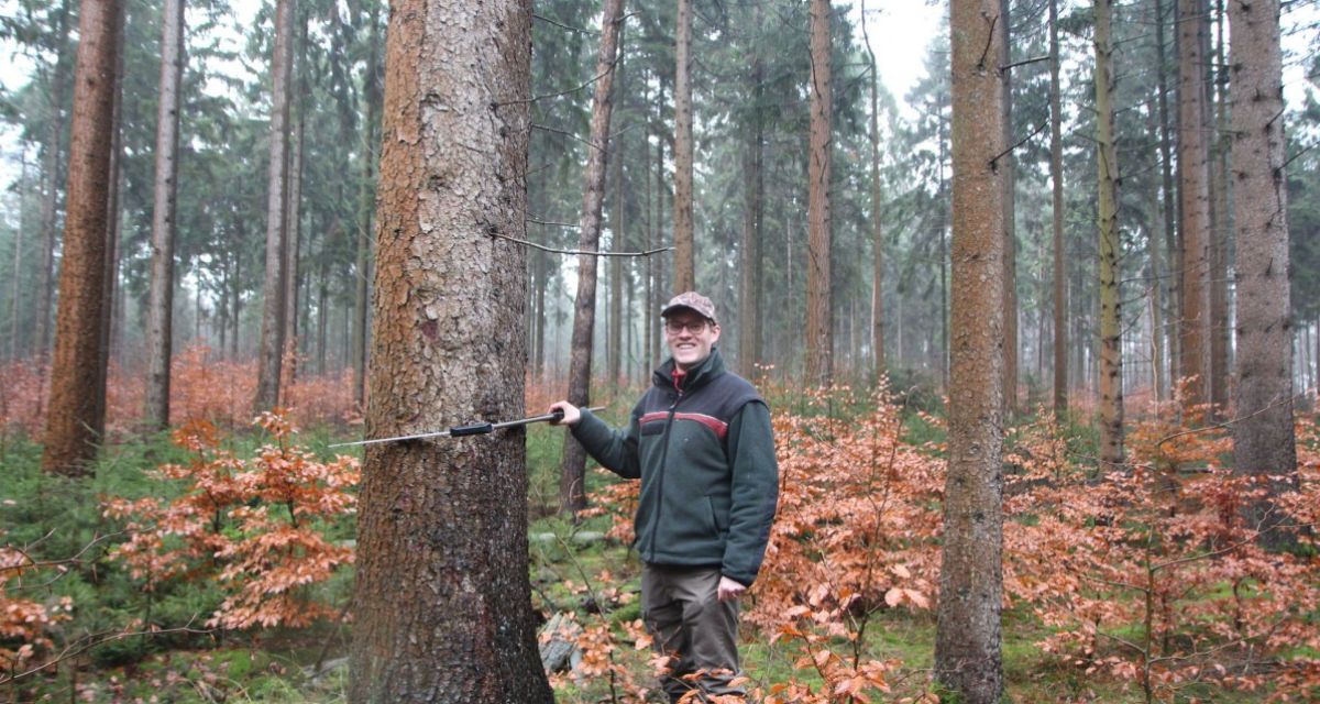 Waldentwicklung im Forst Upjever festgelegt