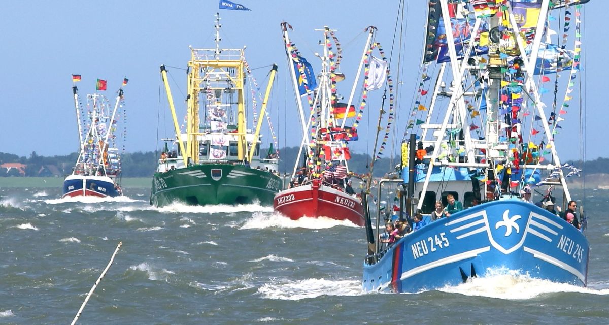 Zu sehen ist eine Kutterregatta. 